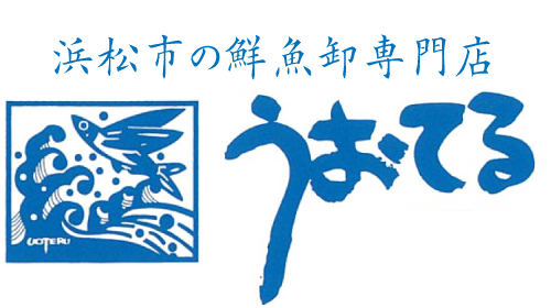 浜松市の鮮魚卸し・小売店【株式会社 魚照(うおてる)】